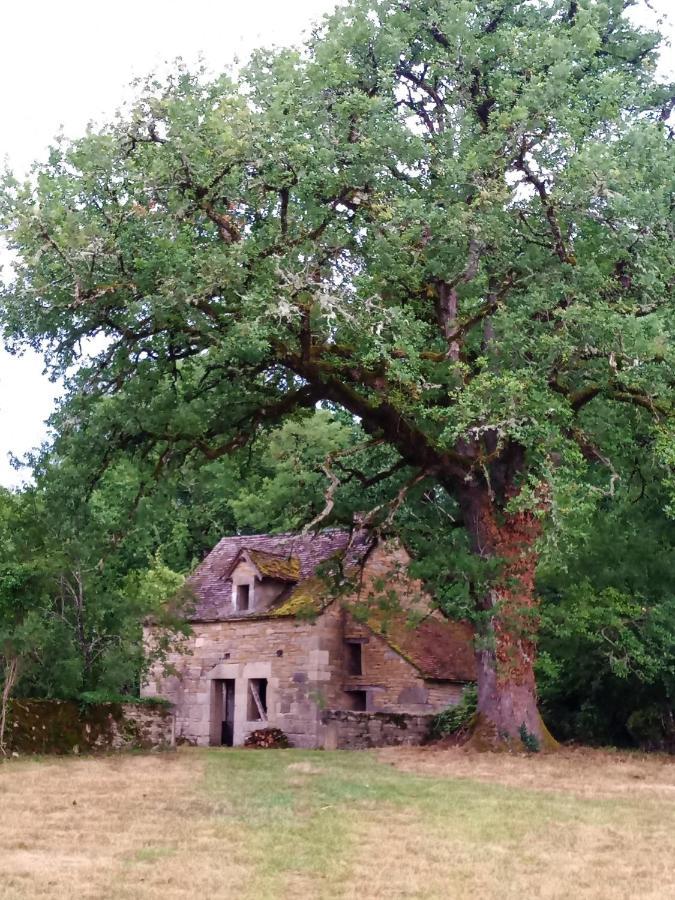 Les Granges De L Abbaye * Ginals